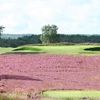 Hankley Common Golf Club
