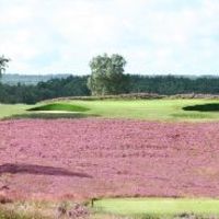 Hankley Common Golf Club