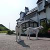 Argyll Hotel