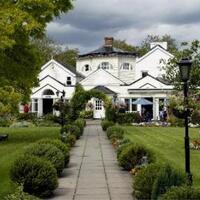 Monkey Island Hotel