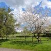 Polstead Lodge