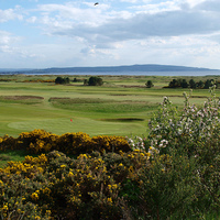 Troon St Meddans Golf Club