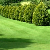 Cwmrhydneuadd Golf Club
