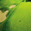 Edenderry Golf Club