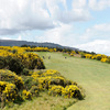 Carrickmines Golf Club