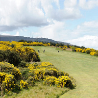 Carrickmines Golf Club