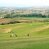 Came Down Golf Club