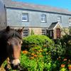 Twitchen Farm, Exmoor National Park, North Devon