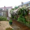 The Flat 14 Llanbadarn Rd