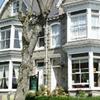 The Dunedin