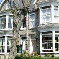 The Dunedin