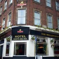 The Wellington