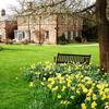 Alison House