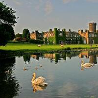 Swinton Park
