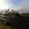 THE SIDINGS ft IL TRENO