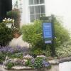 Hazeldene Guest House