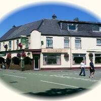 Y Gwynedd
