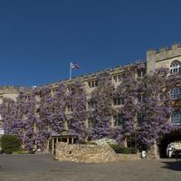 The Castle Hotel
