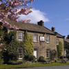 The Blue Lion
