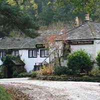 The Pheasant