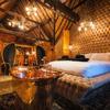 Crazy Bear Hotel