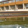 Tewitfield Marina