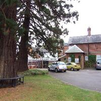 Roselawn Hotel