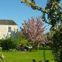 The Cottage 