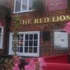 Red Lion