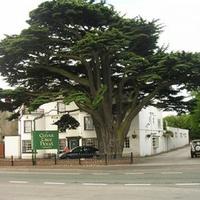 Cedar Tree Hotel