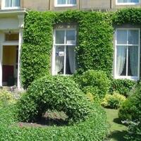 Ivy Guest House