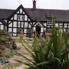 The White Lion