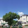 New Westcliff Hotel