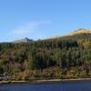 Goldberry Cottage B&B