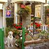 Larrys Lodge