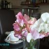 Moray Bay Bed and Breakfast