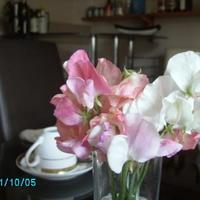 Moray Bay Bed and Breakfast