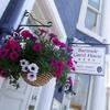 Burnside Guest House