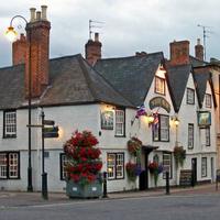 The White Bear