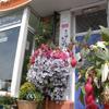 Leonardo s Guest House