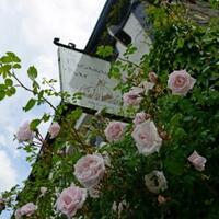 The Mulberry Inn