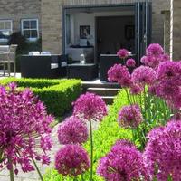 BoxTree House Boutique Bed & Breakfast